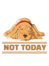 Load image into Gallery viewer, Not Today Dog T-Shirt
