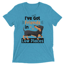 Load image into Gallery viewer, Friends In Low Places Dog T-Shirt
