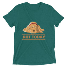 Load image into Gallery viewer, Not Today Dog T-Shirt
